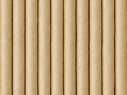 Pajitas de papel kraft, 19,5 cm, 10 uds.